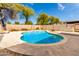 Sparkling private pool with stone patio and lush landscaping at 2348 W Flint St, Chandler, AZ 85224