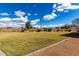 Expansive grassy backyard showcasing meticulous landscaping bordered by decorative concrete blocks and desert foliage at 2562 E Oxford Ct, Gilbert, AZ 85295