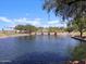 Picturesque view of the community lake with a decorative water feature and green landscaping at 36972 W Santa Maria St, Maricopa, AZ 85138