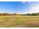 Expansive community green space with lush grass and views of the surrounding homes at 10713 E Tesla Ave, Mesa, AZ 85212