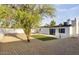 Spacious backyard featuring desert landscaping, a mature shade tree, and a cozy green space at 2202 E Osborn Rd, Phoenix, AZ 85016
