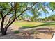 Lush green space in a well-maintained community with mature shade trees and walking paths at 25776 N Sandstone Way, Surprise, AZ 85387