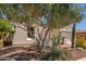 Charming home with desert landscaping, mature tree, and covered entry at 4481 N Luna W Rd, Litchfield Park, AZ 85340