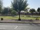 A neighborhood park offers a sprawling grassy lawn and mature trees for recreational activities at 4481 N Luna W Rd, Litchfield Park, AZ 85340