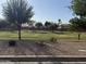 A neighborhood park offers a sprawling grassy lawn and mature trees for recreational activities at 4481 N Luna W Rd, Litchfield Park, AZ 85340