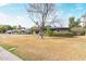 Inviting single-story home with a well-manicured lawn, mature tree, and charming facade at 520 W Townley Ave, Phoenix, AZ 85021