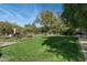 Large lush green backyard with mature trees and landscaping, perfect for outdoor activities at 8325 N 73Rd Pl, Scottsdale, AZ 85258