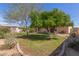 Backyard featuring mature landscaping, lawn, decorative gravel and a covered patio at 9022 N 39Th Ave, Phoenix, AZ 85051