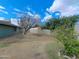 View of the backyard, showcasing block fence and lush trees at 13805 N 31St Ave, Phoenix, AZ 85053