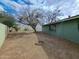 View of the backyard with a brick border for a fire pit and a large bare tree at 13805 N 31St Ave, Phoenix, AZ 85053