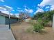 Backyard showing well-kept trees and plants near a basketball court, providing a beautiful outdoor area at 13805 N 31St Ave, Phoenix, AZ 85053