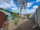 Backyard showing a mix of vegetation, including trees, shrubs, and potted plants, all within block wall fencing at 13805 N 31St Ave, Phoenix, AZ 85053