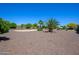 Spacious backyard featuring desert landscaping with mature trees and greenery, offering a private outdoor retreat at 14124 W Christy Dr, Surprise, AZ 85379