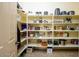 Organized walk-in pantry featuring ample shelving for storage and easy access to kitchen essentials at 14124 W Christy Dr, Surprise, AZ 85379