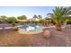 Beautiful backyard pool with lush landscaping, lounge chairs, and a covered patio area, perfect for relaxing and entertaining at 14124 W Christy Dr, Surprise, AZ 85379