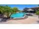 Backyard with a freeform pool, lounge chairs, and desert landscaping, perfect for relaxation and outdoor enjoyment at 14124 W Christy Dr, Surprise, AZ 85379