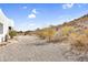 Backyard featuring natural desert landscape with mature desert vegetation at 1550 W Adobe Dam Dr, San Tan Valley, AZ 85144