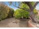 Secluded backyard featuring mature trees and landscaping at 15620 N 19Th St, Phoenix, AZ 85022