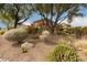 A delightful yard featuring mature trees, desert landscaping, and natural rock accents at 15620 N 19Th St, Phoenix, AZ 85022