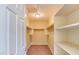 Walk-in closet with carpeting, painted shelves, and a clothes rack at 17025 W Rimrock St, Surprise, AZ 85388