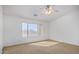 Bright bedroom featuring neutral walls, carpet flooring, and a window with a view at 1805 E Aloe Pl, Chandler, AZ 85286