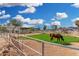 Equestrian facility with horses grazing in a lush grassy field against a clear blue sky with scattered clouds at 7515 N 185Th Ave, Waddell, AZ 85355