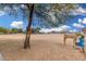 View of an outdoor horse pen with a feeding area and a large tree providing shade at 7515 N 185Th Ave, Waddell, AZ 85355