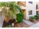 Inviting front entrance with lush landscaping, including a mature palm tree, offering privacy at 9355 N 91St St # 113, Scottsdale, AZ 85258