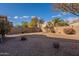 Backyard has desert landscaping, a block fence, and scattered plants and bushes at 1100 E Canyon Trl, San Tan Valley, AZ 85143