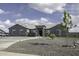Landscaped front yard with circular driveway enhances the curb appeal of this well-maintained home at 1455 E Dove Pl, Casa Grande, AZ 85122