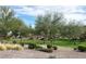 Beautiful park landscape with manicured lawns, lush trees, and decorative gravel at 18542 W Luke Ave, Litchfield Park, AZ 85340
