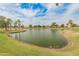 Scenic view of a tranquil pond with palm trees and lush greenery surrounding the area at 18886 N 77Th Ave, Glendale, AZ 85308