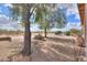 Expansive backyard featuring desert landscaping, mature trees, and views of the surrounding community at 2453 E Hancock Trl, Casa Grande, AZ 85194