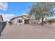 Large backyard featuring desert landscape, offering a peaceful and private retreat at 2453 E Hancock Trl, Casa Grande, AZ 85194