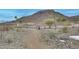Community walking path surrounded by native desert landscaping and mountain views at 32366 N 133Rd Ln, Peoria, AZ 85383