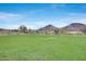Community sand volleyball court surrounded by green lawns and desert landscaping at 32366 N 133Rd Ln, Peoria, AZ 85383