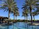 Beautiful community pool area with palm trees and lounge seating at 830 E Garden Basket Dr, Queen Creek, AZ 85140