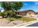 Well-manicured front yard with vibrant green grass and desert landscaping accents, mature trees and palms at 13516 W Windsor Blvd, Litchfield Park, AZ 85340