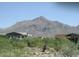 Scenic view of McDowell Mountain from property with Arizona vegetation in foreground at 20750 N 87Th St # 2074, Scottsdale, AZ 85255