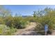Community walking trail with native desert vegetation and mountain views in the distance at 20750 N 87Th St # 2074, Scottsdale, AZ 85255