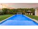 Beautiful pool area with a water feature, lounge chairs, and privacy landscaping, creating a serene backyard retreat at 2742 W Monterey Pl, Chandler, AZ 85224