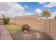 Private backyard featuring a green lawn, decorative rock, and a block wall for added privacy at 33425 N Roadrunner Ln, San Tan Valley, AZ 85144