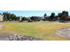 Open green space in a residential community, featuring sprinkler systems and mature trees at 43857 W Bedford Dr, Maricopa, AZ 85138