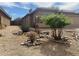 Tan single-story home featuring a tile roof, a two-car garage, and a gravel yard with shrubbery at 43857 W Bedford Dr, Maricopa, AZ 85138