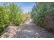 Low maintenance backyard featuring gravel landscaping and a variety of trees at 11381 E Poinsettia Dr, Scottsdale, AZ 85259