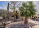 Charming front yard with a palm tree, cactus, and desert landscaping leading to the entrance at 11381 E Poinsettia Dr, Scottsdale, AZ 85259