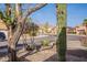 Neighborhood street view with desert landscaping, palm trees, and single-story homes at 11381 E Poinsettia Dr, Scottsdale, AZ 85259