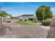 A spacious backyard with lush green lawns, bordered by desert landscaping and featuring mature shade trees at 14333 W Lexington Ave, Goodyear, AZ 85395