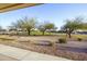 Desert landscaped backyard featuring manicured shrubs and lawn at 2662 S Springwood Blvd # 467, Mesa, AZ 85209