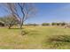 Expansive park with lush green grass and mature trees, creating a scenic landscape at 3816 E Rakestraw Ln, Gilbert, AZ 85298